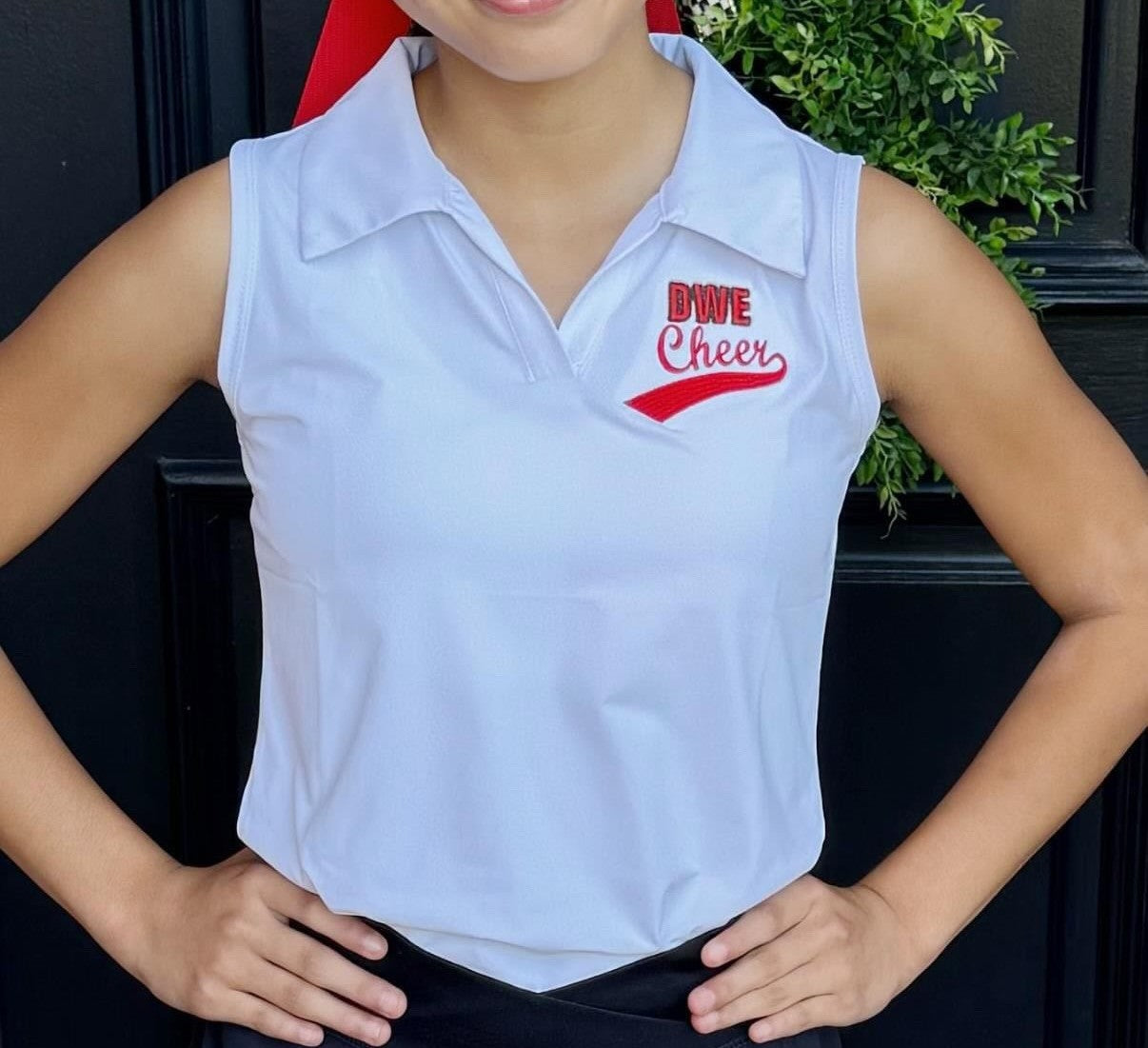 DWE Polo